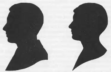 troe-fig.32